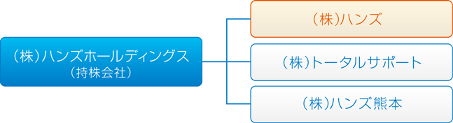 ホールディンング図