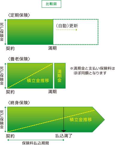 比較図